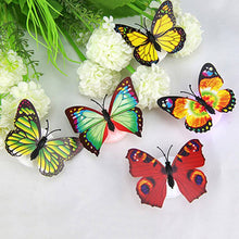 The Butterfly 3D Night Lamp Comes with 3D Illusion Design Suitable for Drawing Room, Lobby.